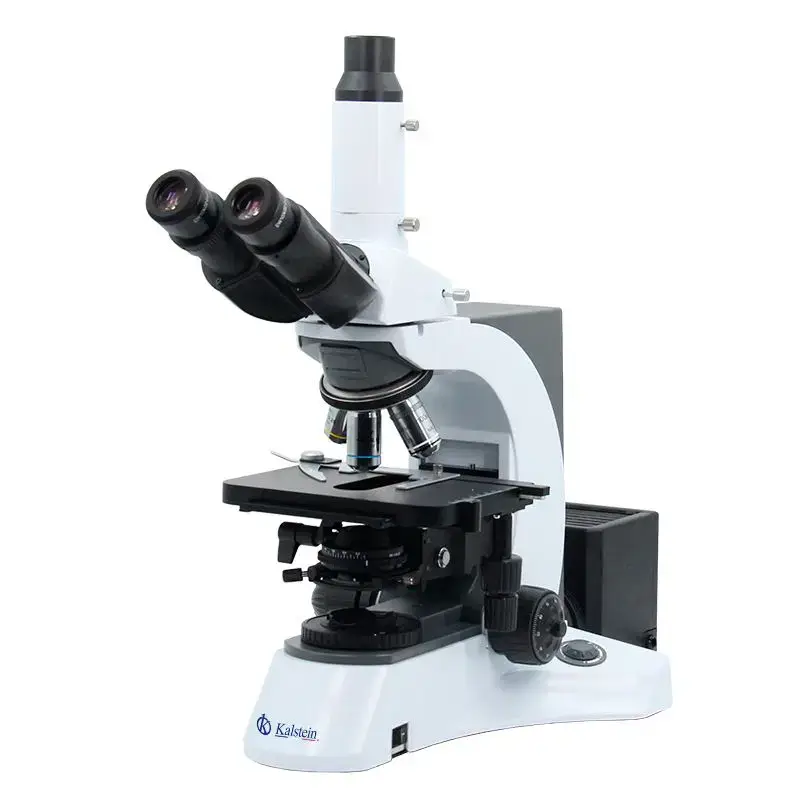 Troubleshooting Common Errors of the YR0231 Microscope: A Practical Guide