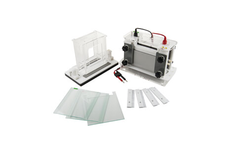 Technical Glossary and Key Terminology for the YR401 Mini Electrophoresis