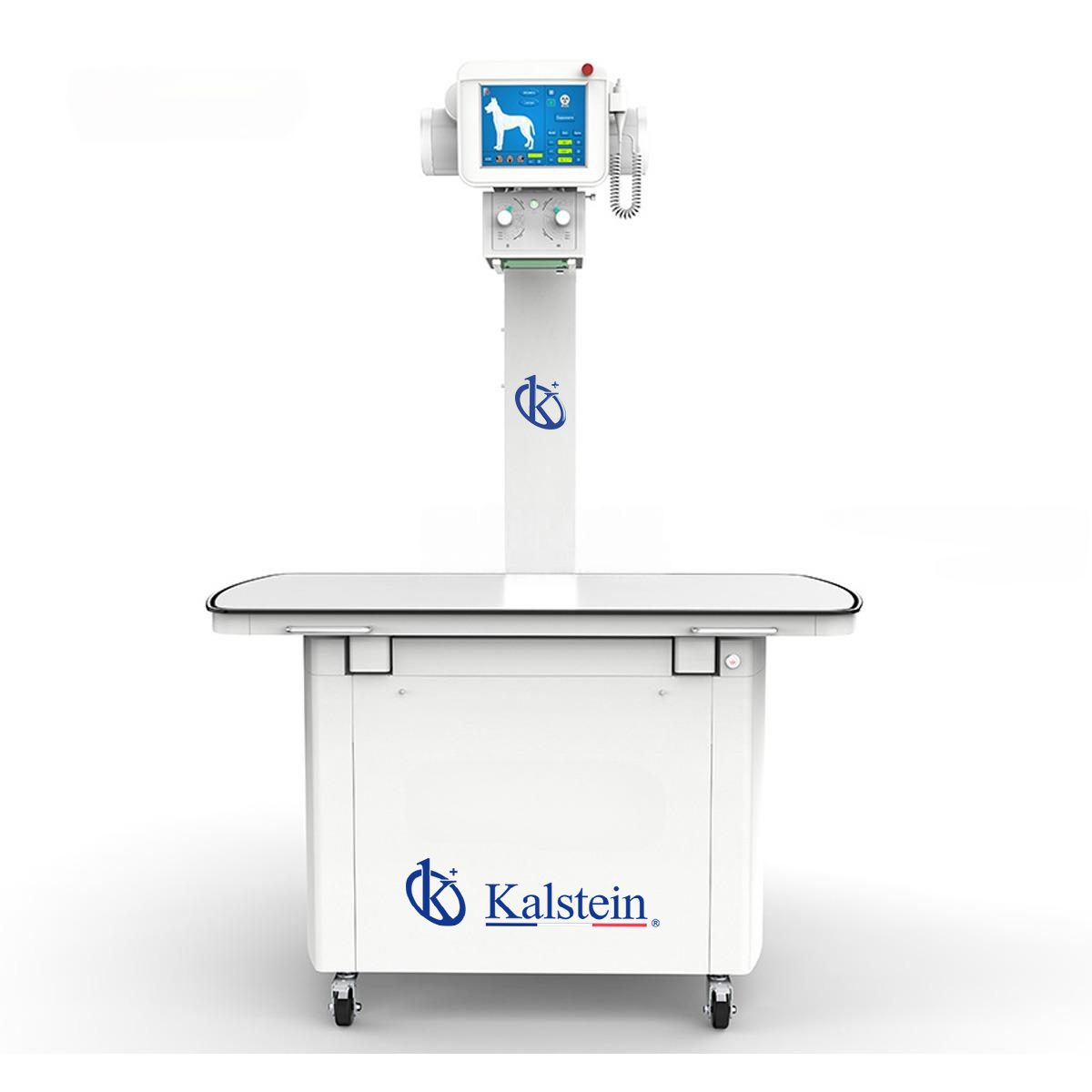 Interpreting Results and Reading Measurements with the YR06163 Digital Stationary Veterinary X-rays