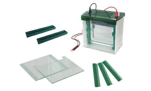 Innovation in Genetics: Key Applications of Vertical Electrophoresis Units for Optimizing Protein and Nucleic Acid Studies