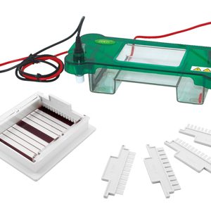 Applications and Innovations in the Laboratory with Kalstein Horizontal Electrophoresis
