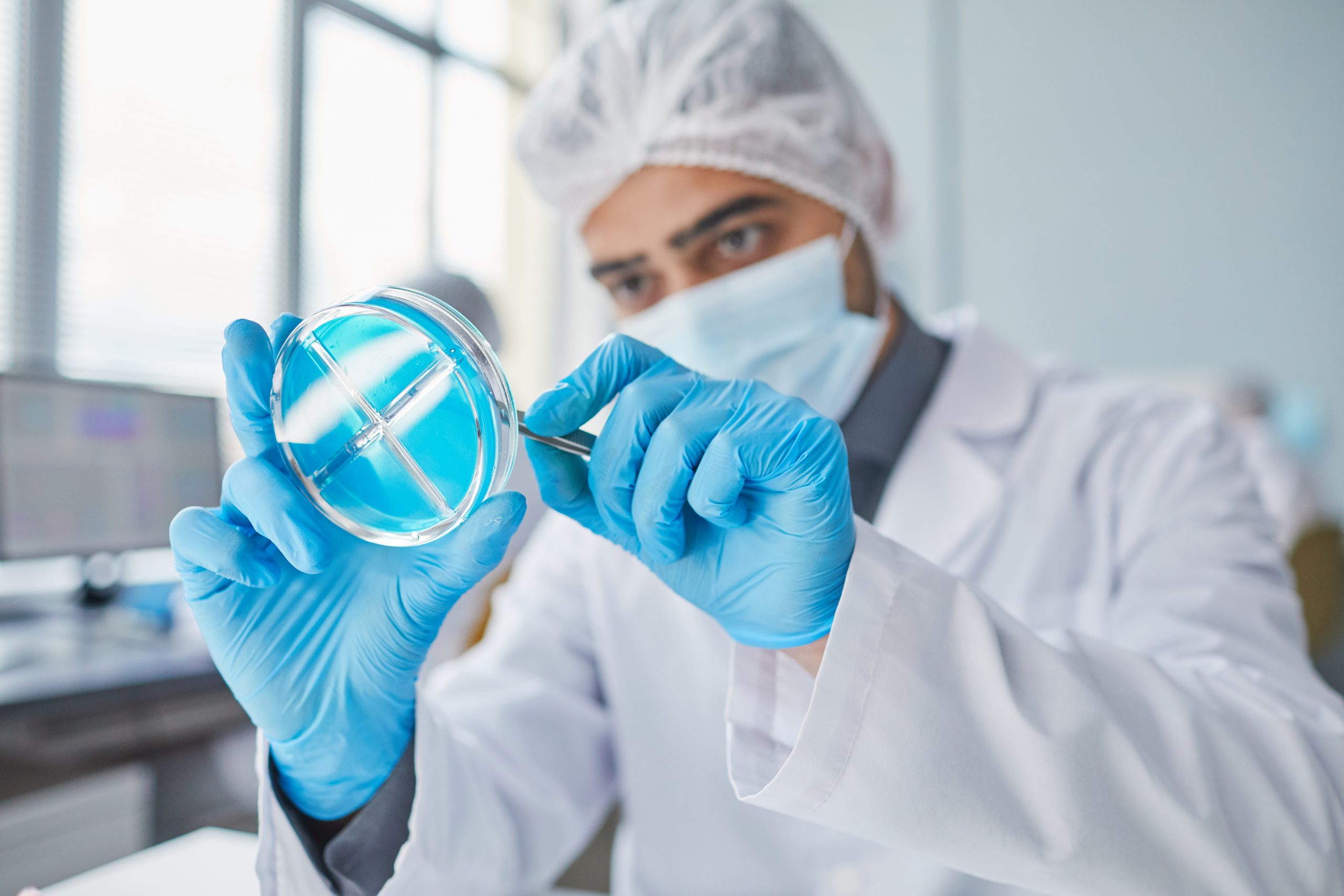 Muffles in which type of laboratory are used?