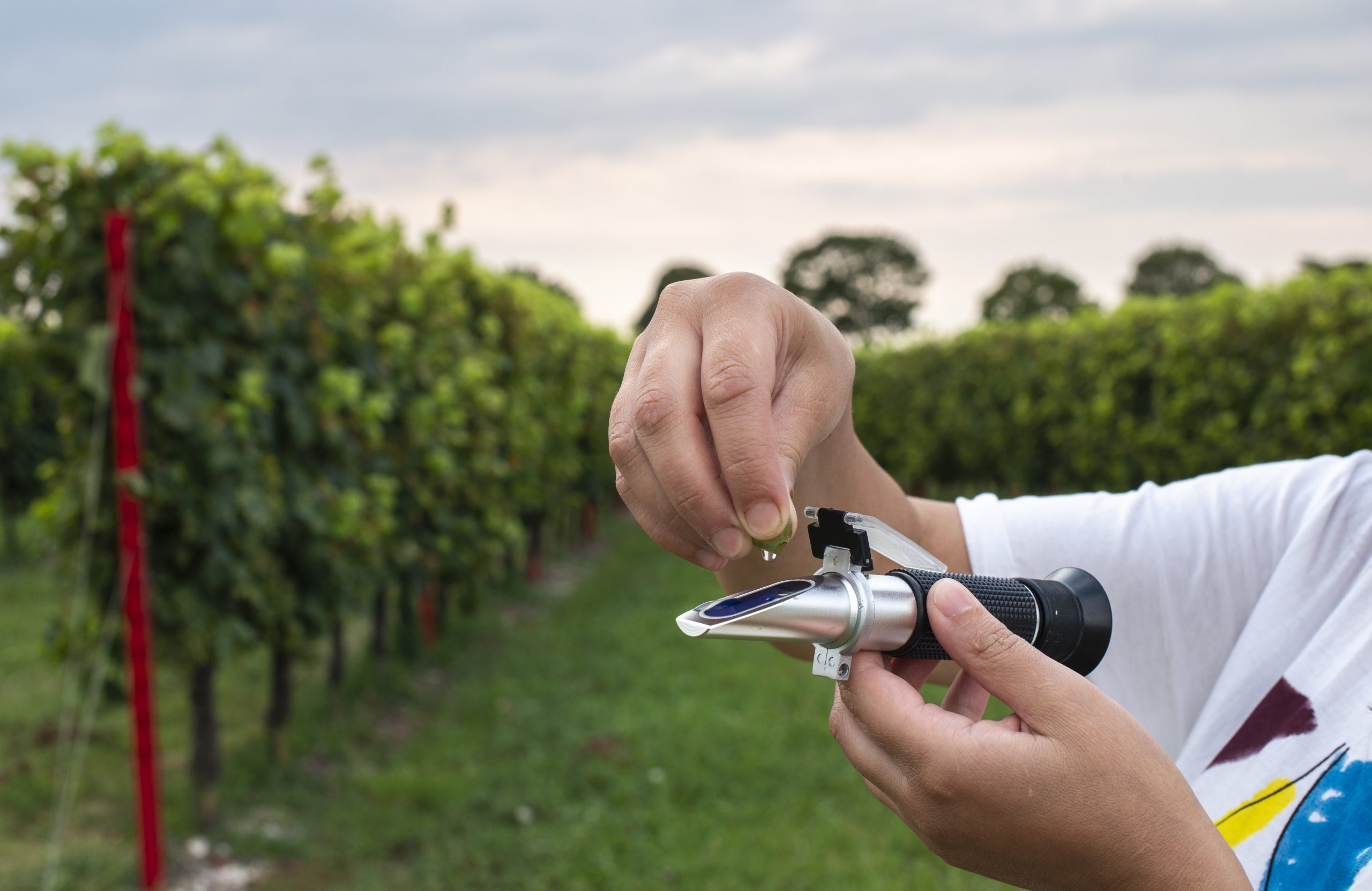 Refractometer: What kind of units does it measure?
