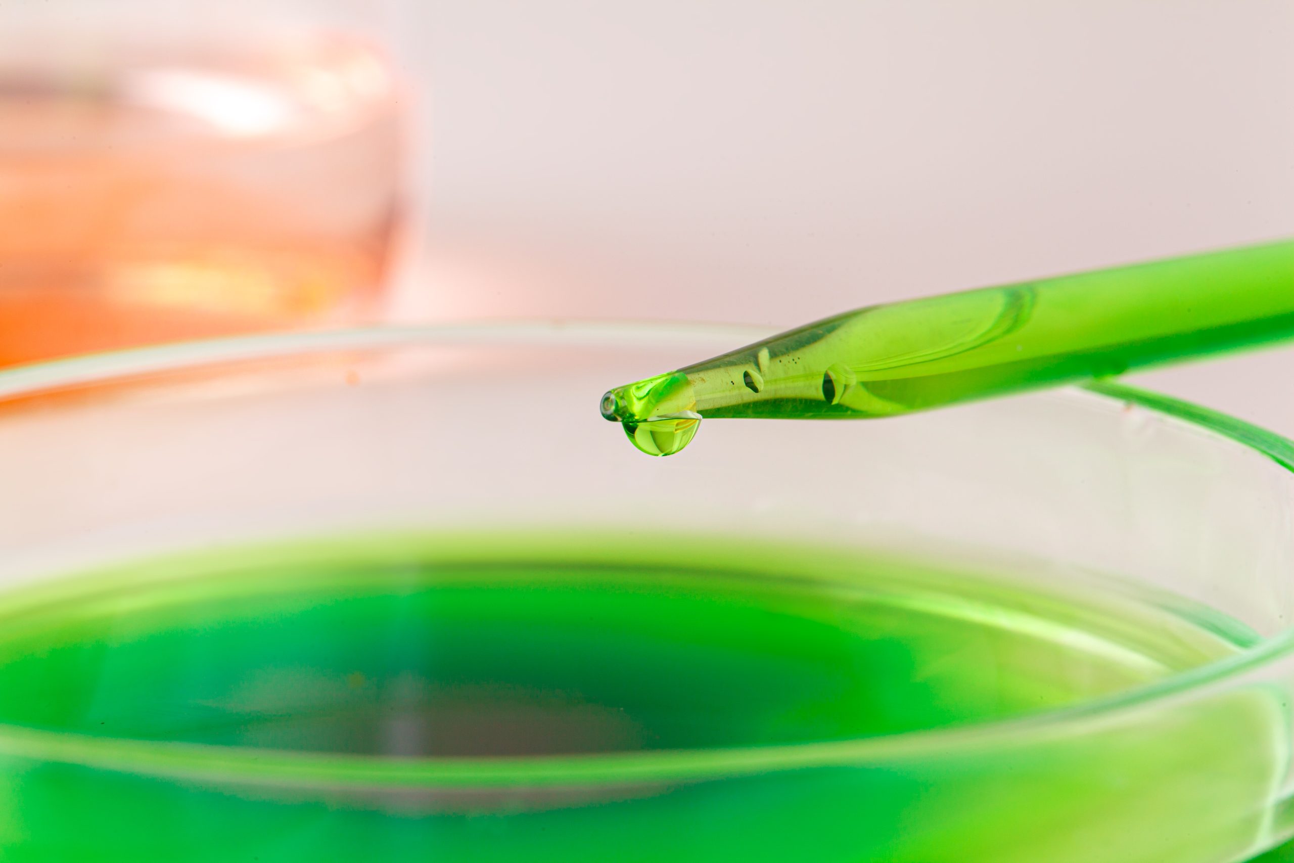 The Elisa Technique for Disease Prognosis in Animals