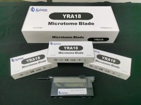 Blood Reagent Test Interpretation: Facilitating Disease Diagnosis