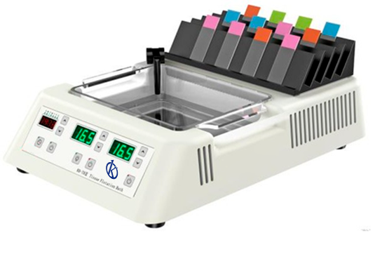 Innovative Laboratory Equipment for Anatomic Pathology: Getting to Know the Kalstein Models