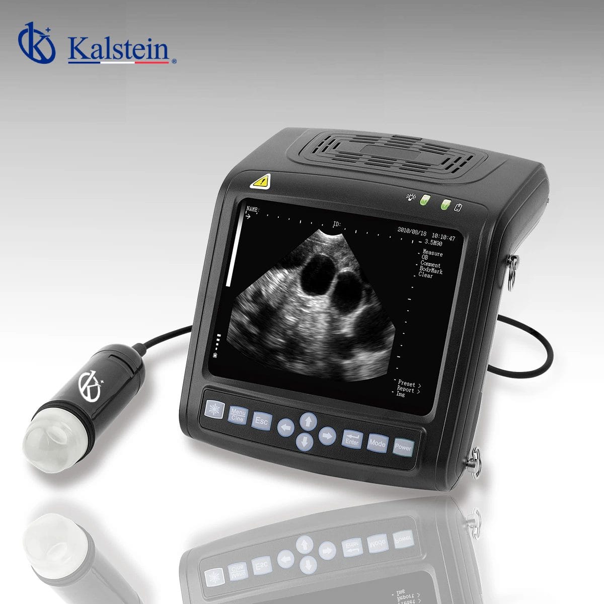 Discover the Future of Veterinary Diagnosis: Veterinary Ultrasounds by Kalstein