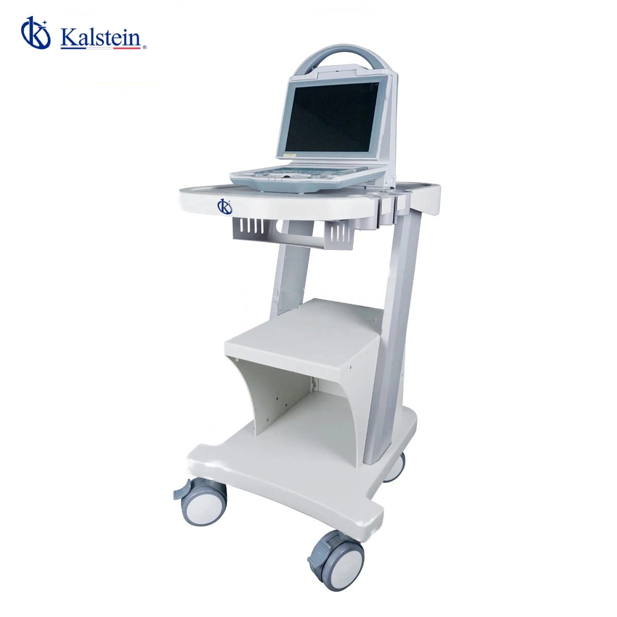 Revolutionizing Animal Care: The Impact of Veterinary Ultrasound Innovations