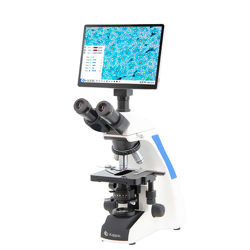 Evaluating Microscope Leaders: A Comparative Analysis in Laboratory Testing Scope and Patient Treatment Efficiency