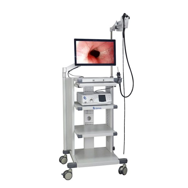 The Future of Veterinary Diagnostics: Revolutionizing Care with Veterinary Video Endoscopes
