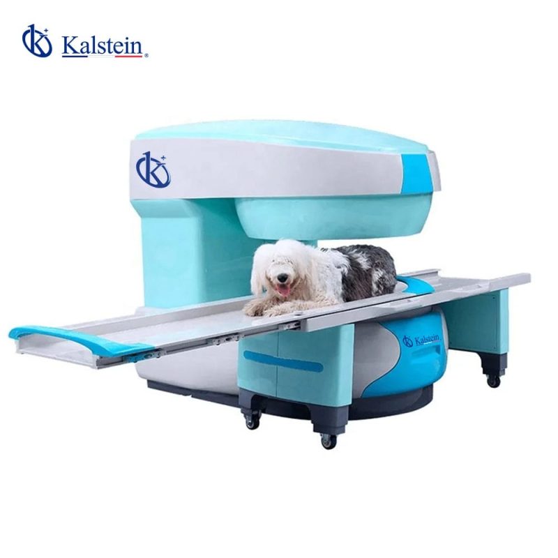 Veterinary MRI: Detailed Imaging Technology for Advanced Diagnostics
