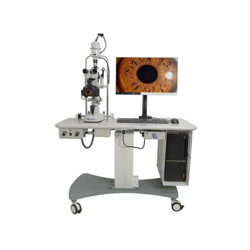 Veterinary Lamps: Professional Lighting for Veterinary Surgical Procedures